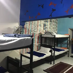 Brisbane & Hostel